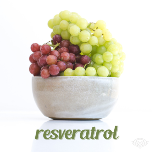 Resveratrol